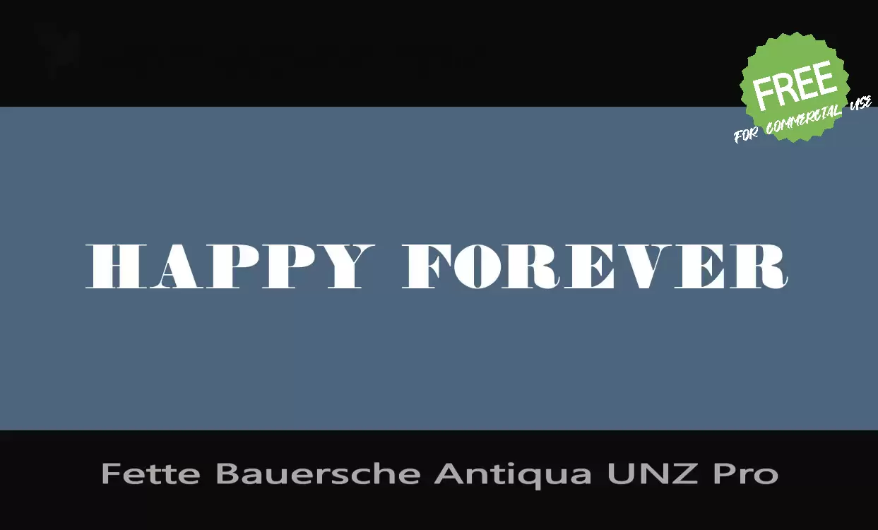 Sample of Fette-Bauersche-Antiqua-UNZ-Pro