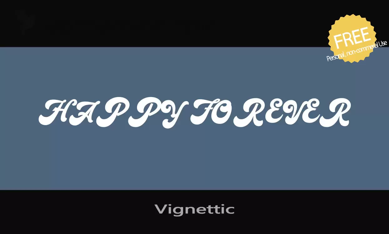 「Vignettic」字体效果图