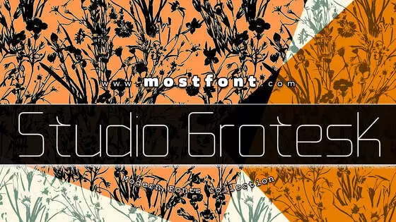 「Studio-Grotesk」字体排版图片