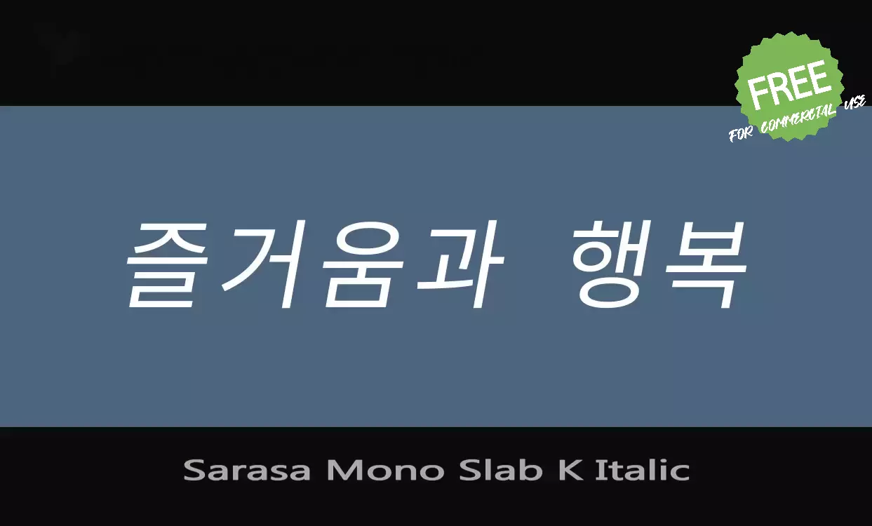 「Sarasa-Mono-Slab-K-Italic」字体效果图