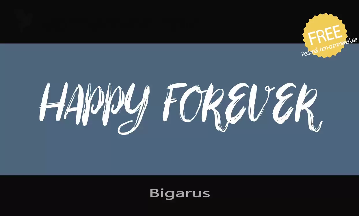 「Bigarus」字体效果图