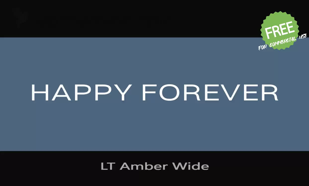 「LT Amber Wide」字体效果图