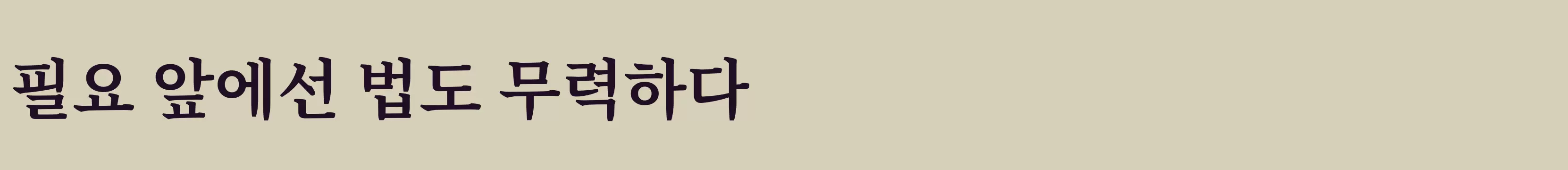 「Bold」字体效果图