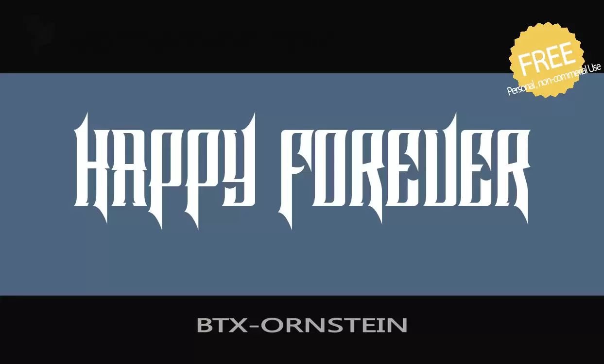 「BTX-ORNSTEIN」字体效果图