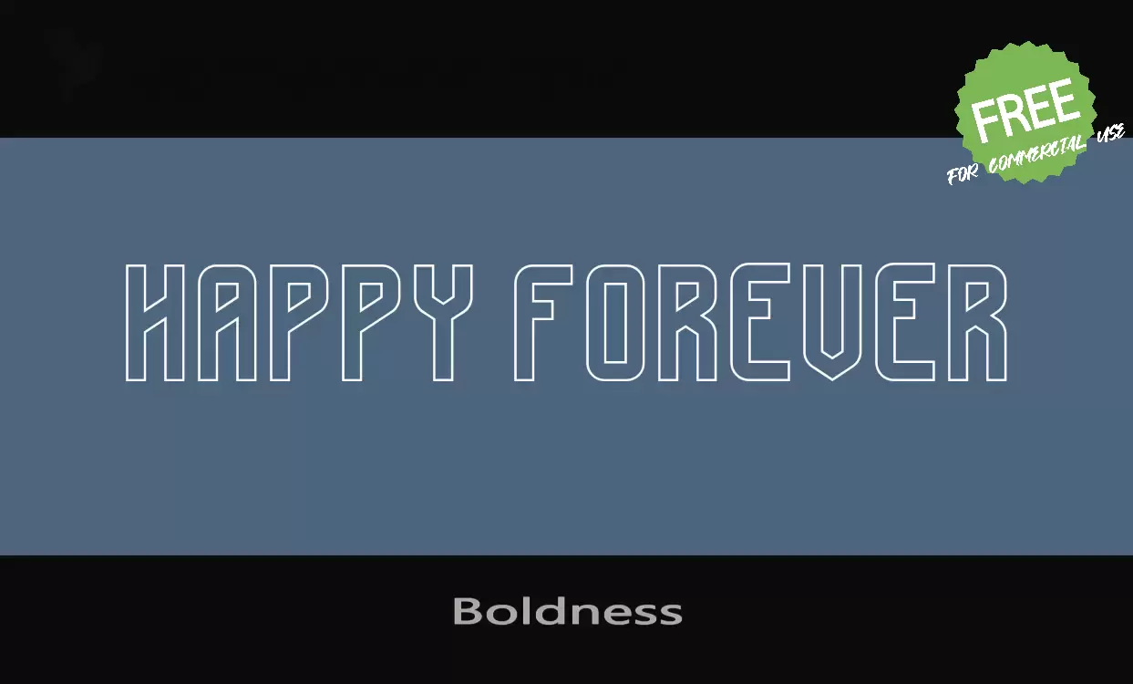 「Boldness」字体效果图