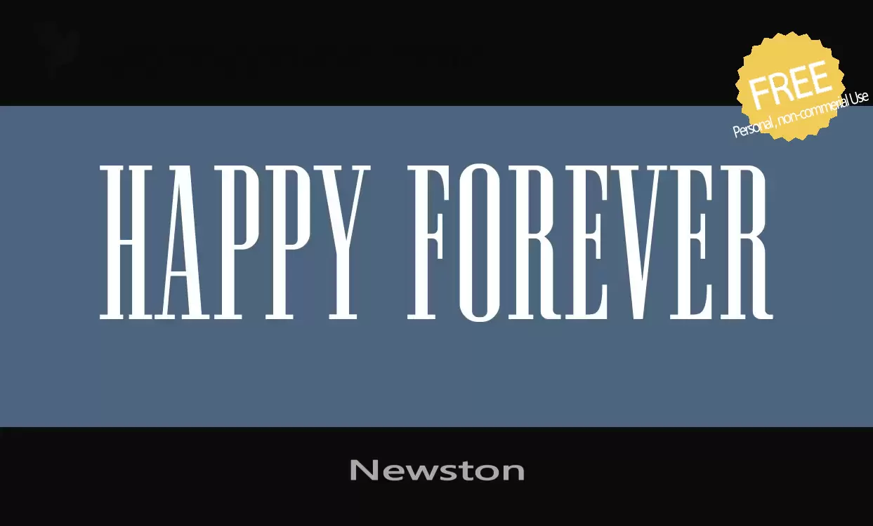 「Newston」字体效果图