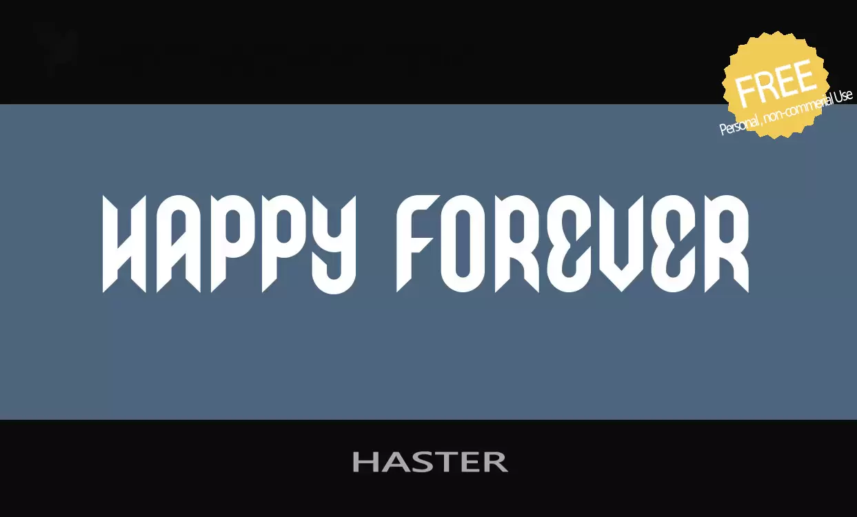 「HASTER」字体效果图
