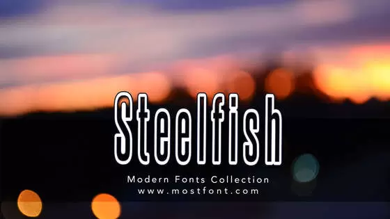 Typographic Design of Steelfish