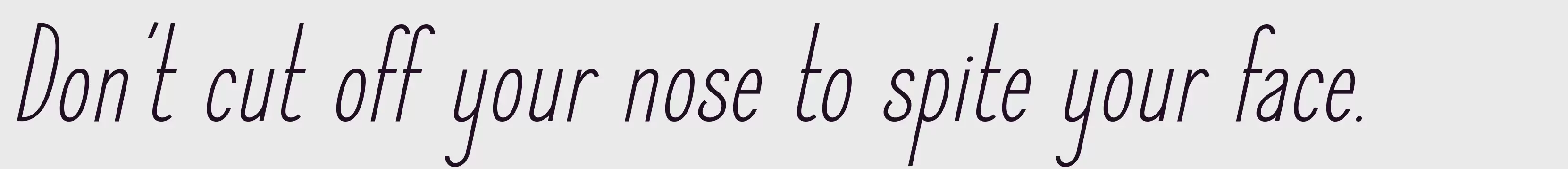 「Elegant Sans Regular Italic」字体效果图
