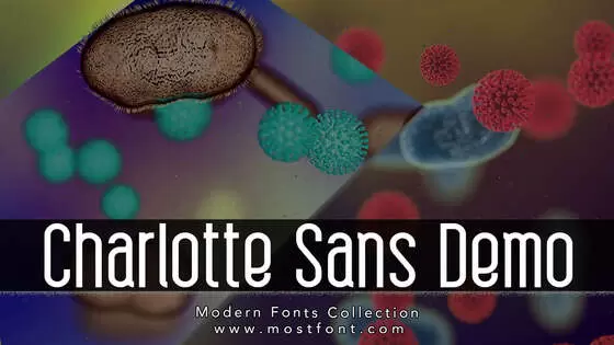 「Charlotte-Sans-Demo」字体排版图片