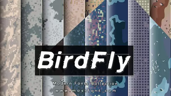 Typographic Design of BirdFly