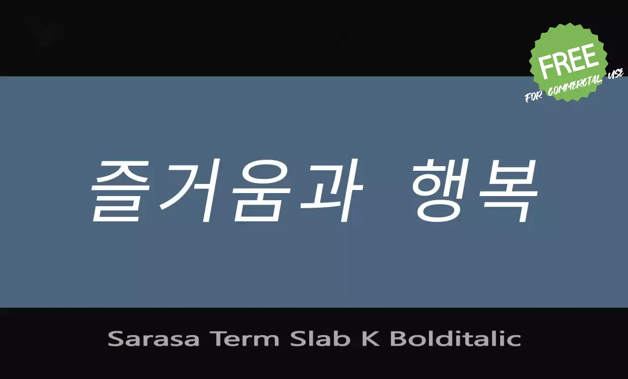 Font Sample of Sarasa-Term-Slab-K-Bolditalic