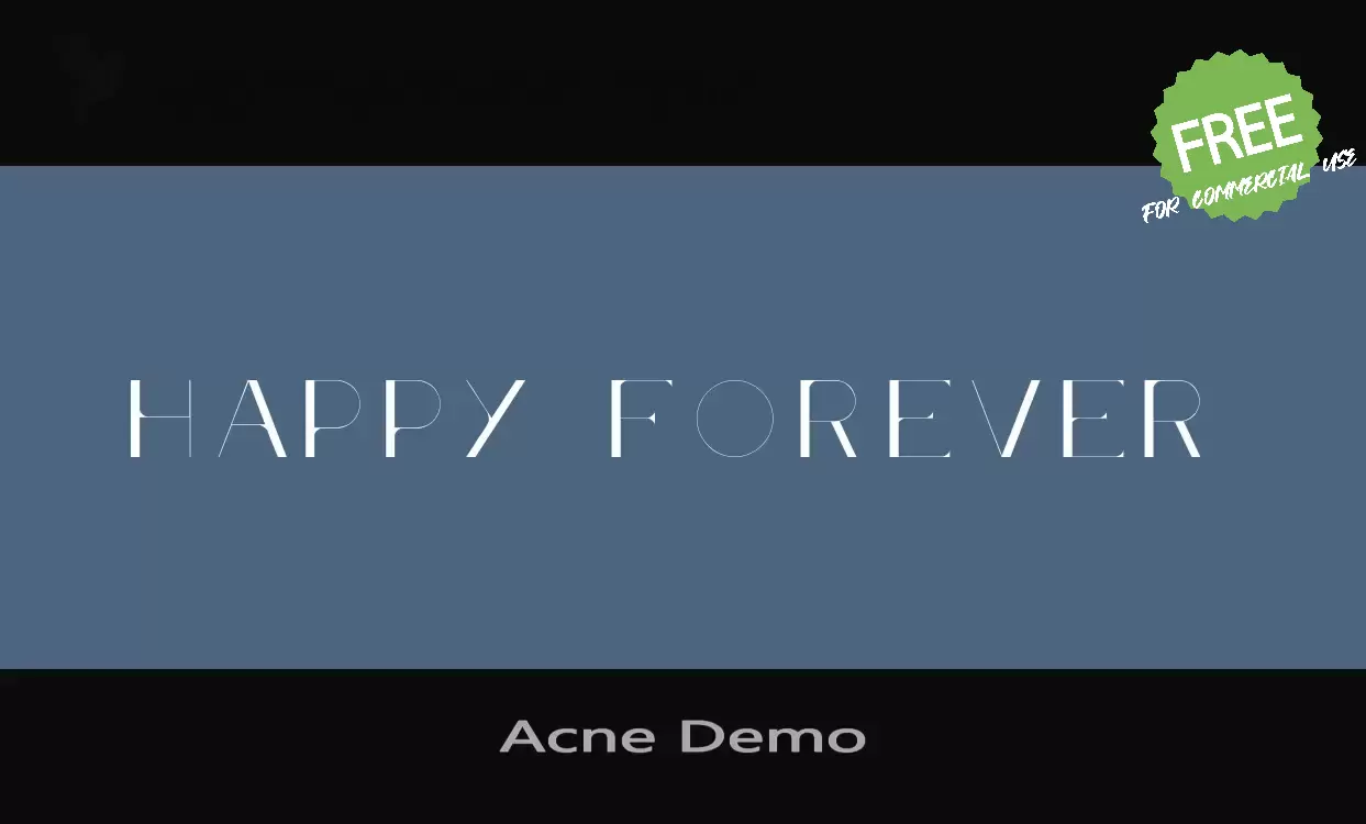「Acne Demo」字体效果图
