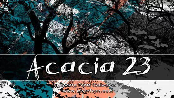 「Acacia-23」字体排版样式
