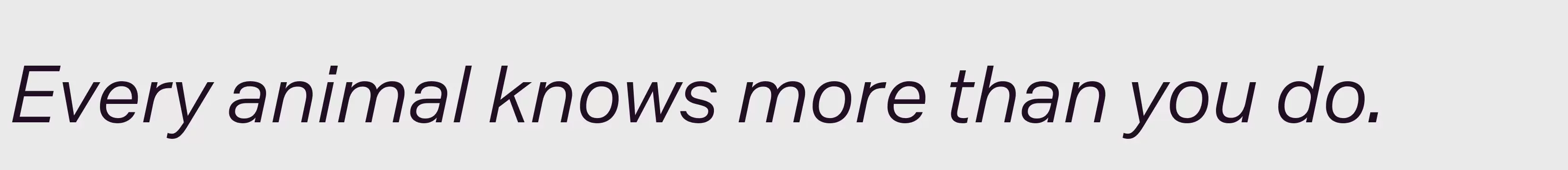 Preview Of Italic