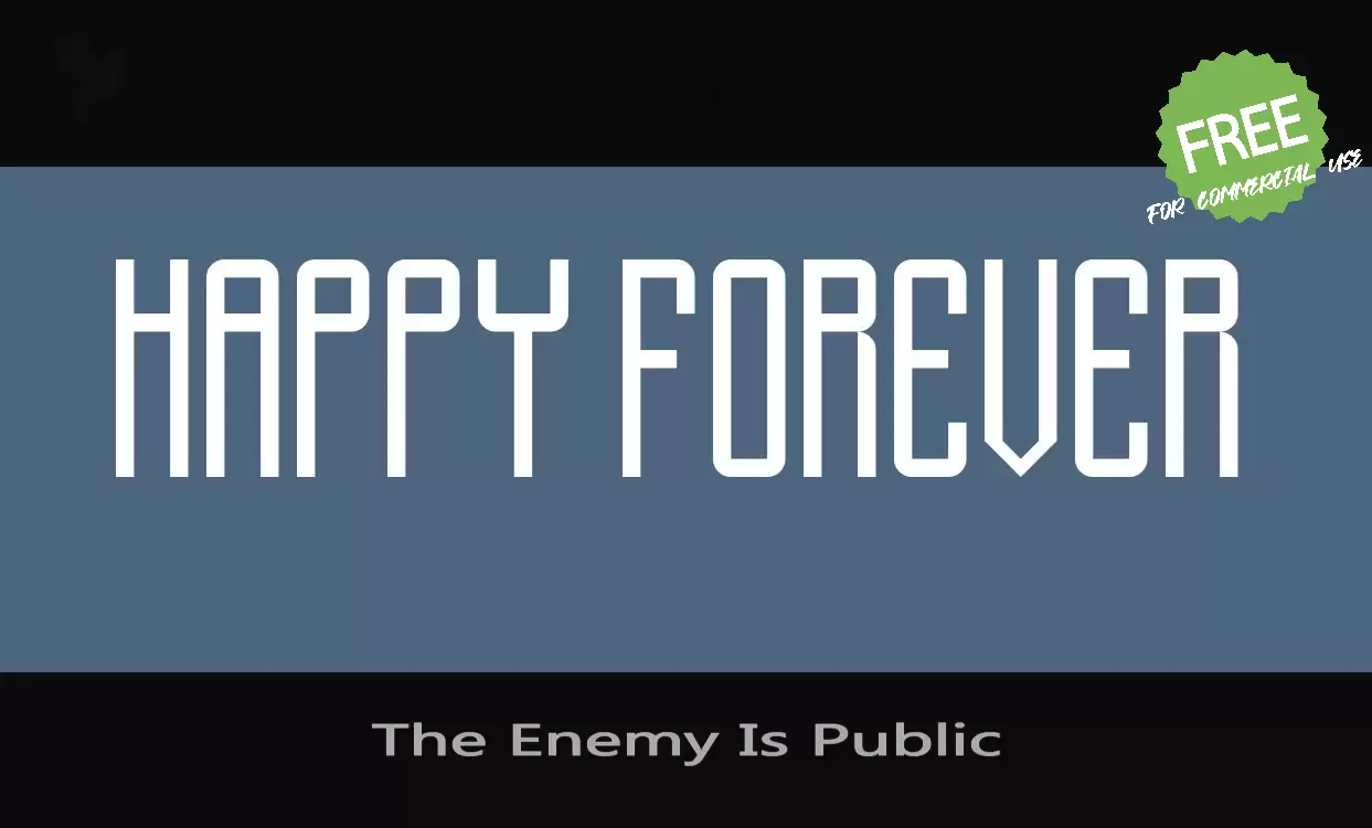 Sample of The-Enemy-Is-Public