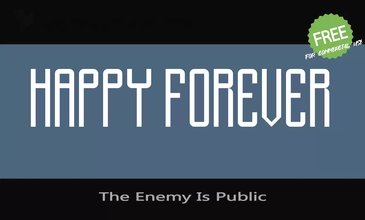 「The Enemy Is Public」字体效果图