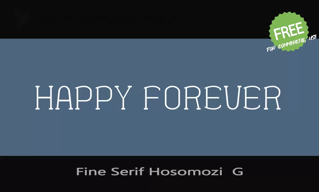 「Fine-Serif-Hosomozi--G」字体效果图