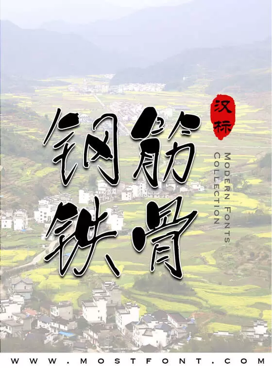 Typographic Design of 汉标精工阿叶体