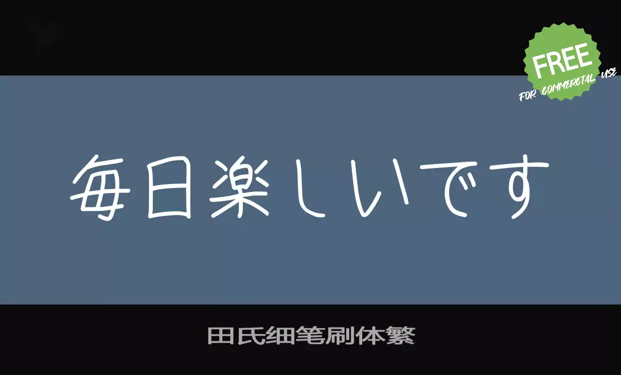 「田氏细笔刷体繁」字体效果图