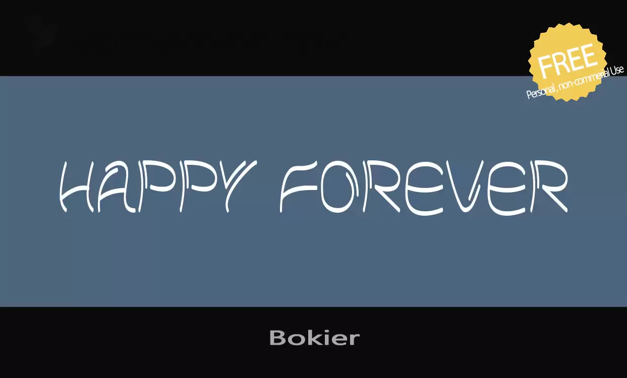 「Bokier」字体效果图