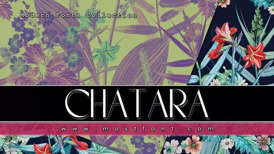 「Chatara」字体排版图片