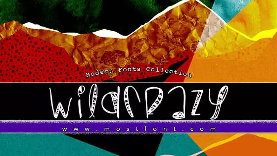 Typographic Design of WildCrazy
