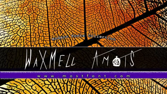 「WaXMELl-AmOtS」字体排版图片
