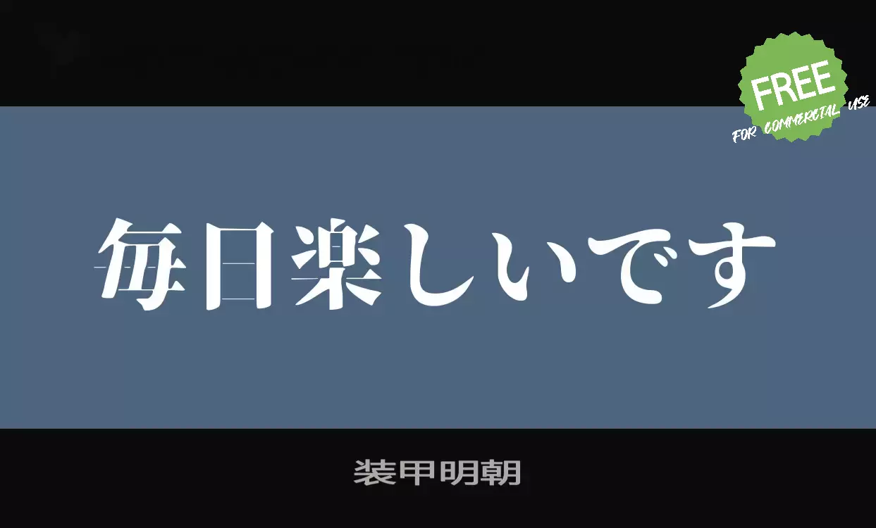「装甲明朝」字体效果图