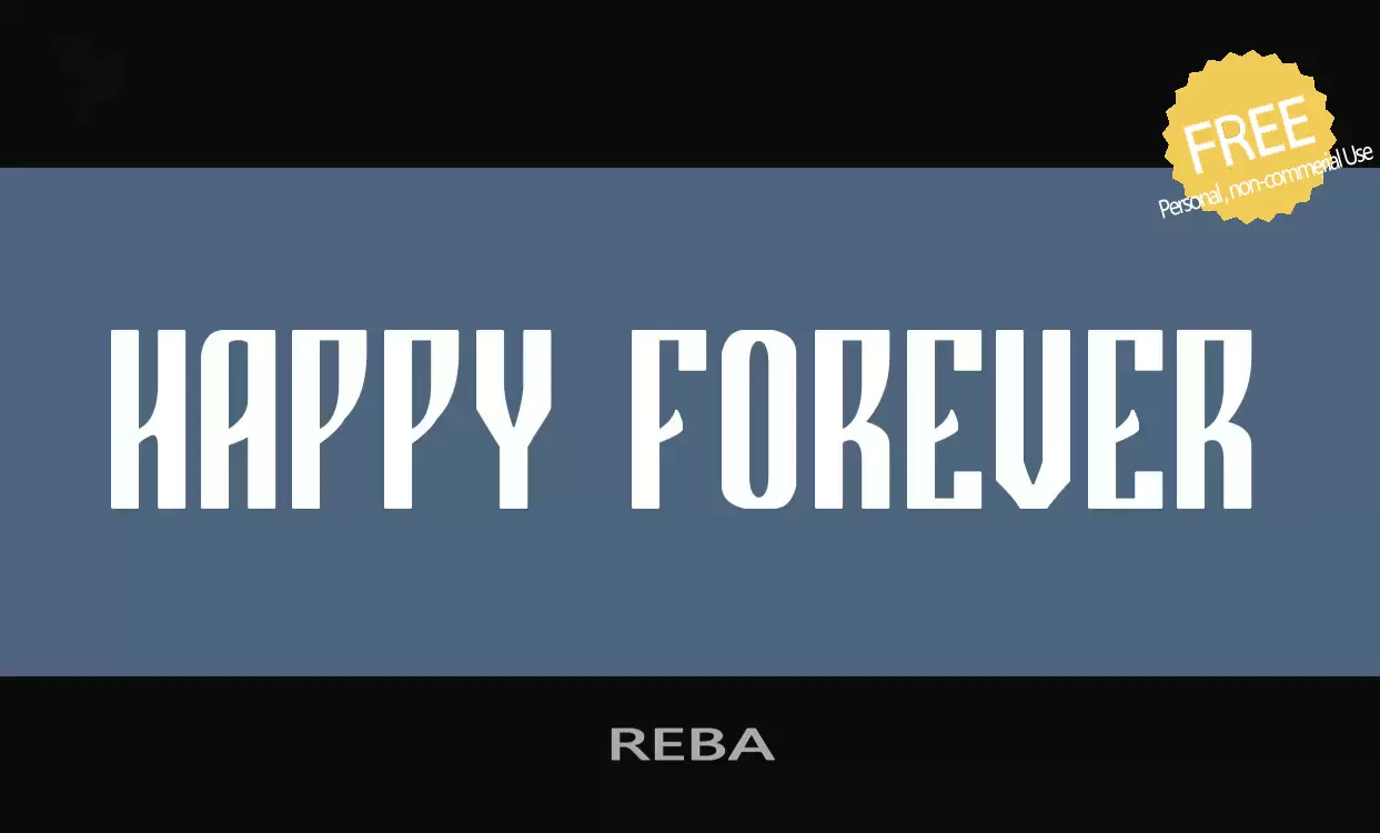 「REBA」字体效果图