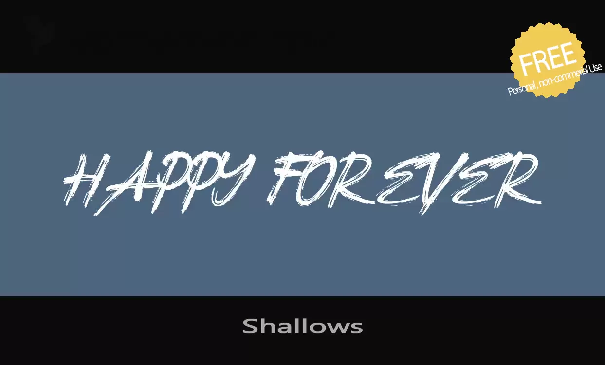 「Shallows」字体效果图