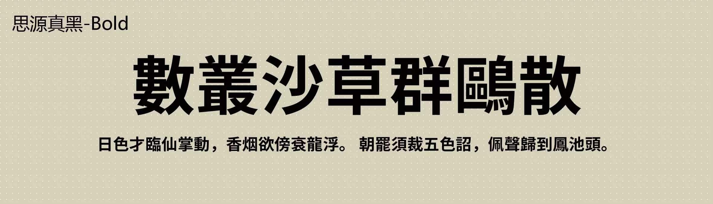 「Bold」字体效果图
