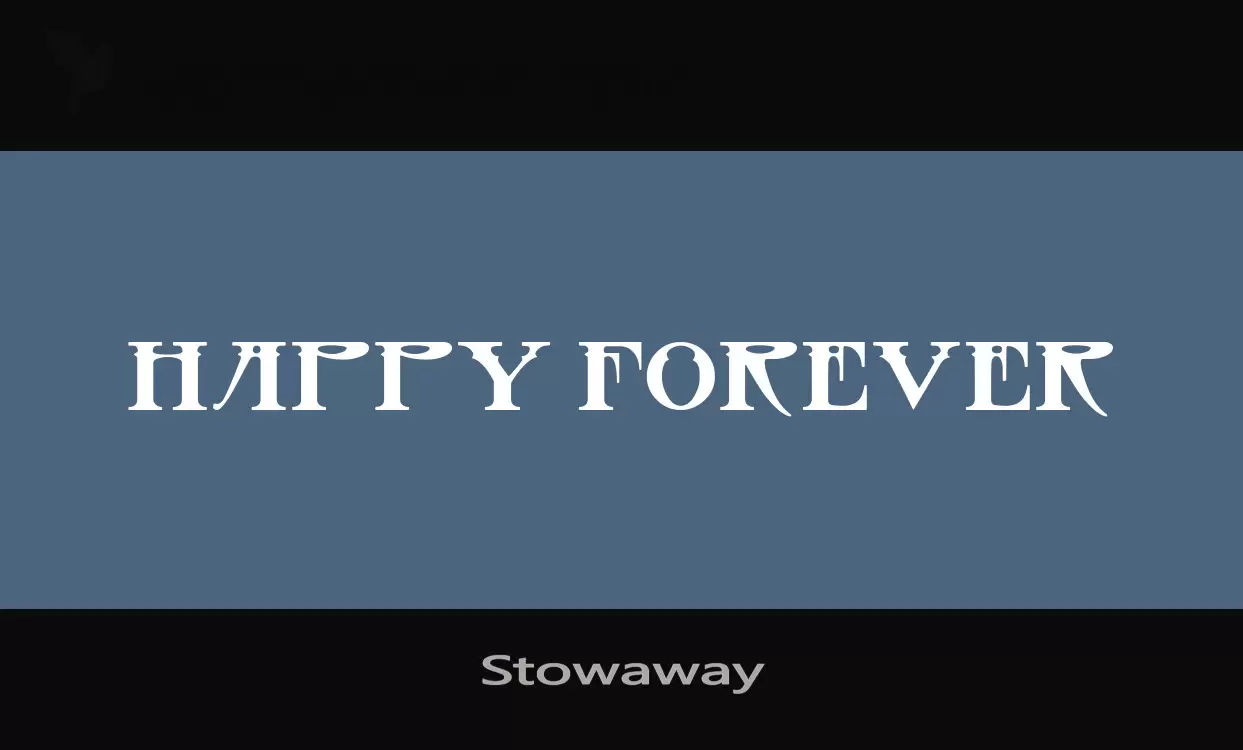 「Stowaway」字体效果图
