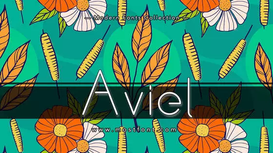 Typographic Design of Aviel