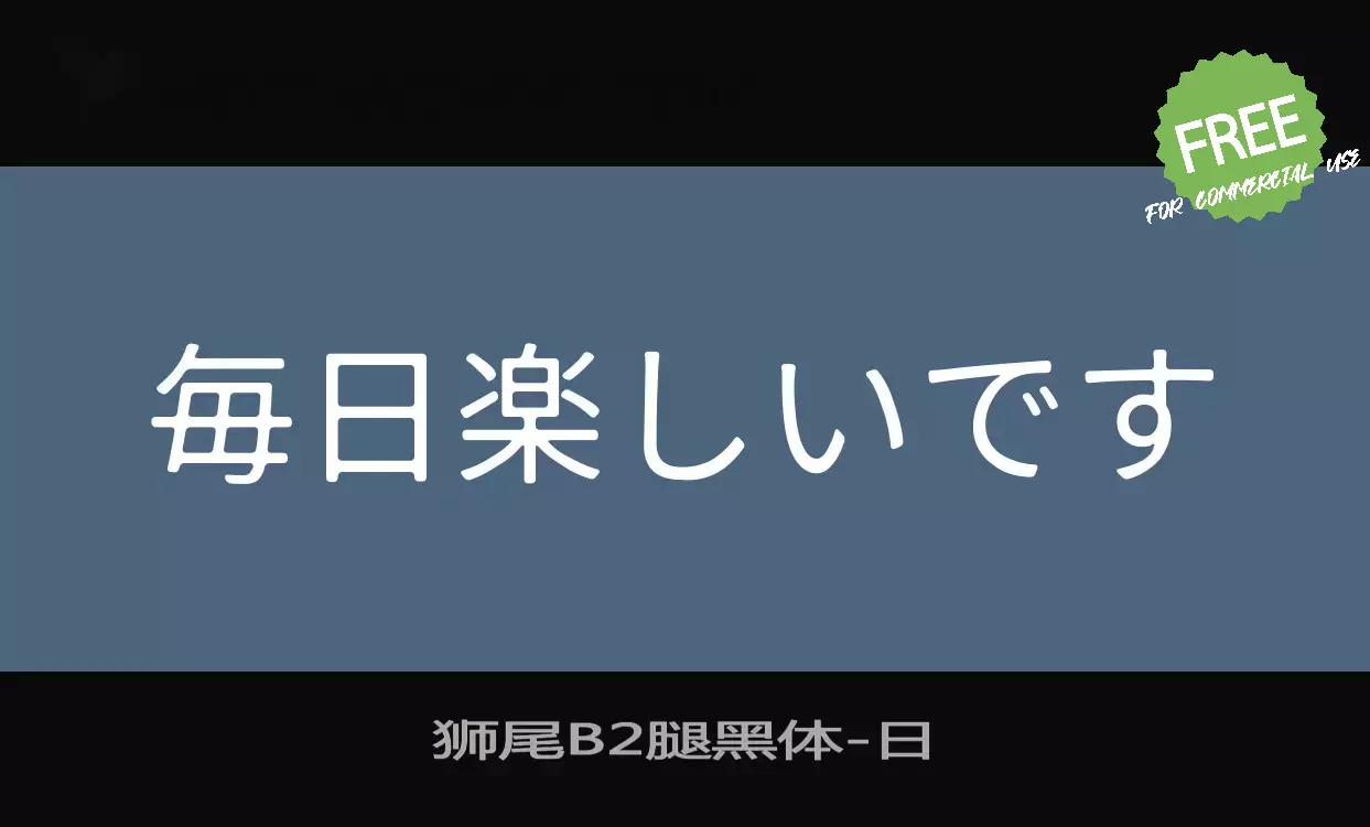 「狮尾B2腿黑体」字体效果图