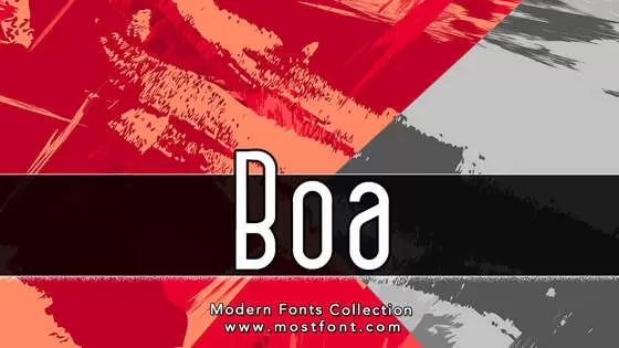 Typographic Design of Boa©