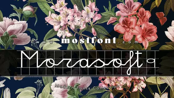 「Morasoft9」字体排版图片