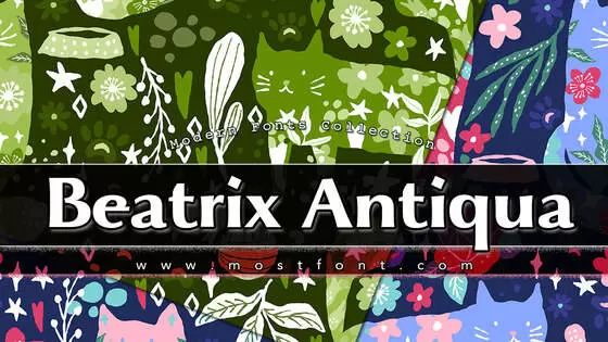 Typographic Design of Beatrix-Antiqua