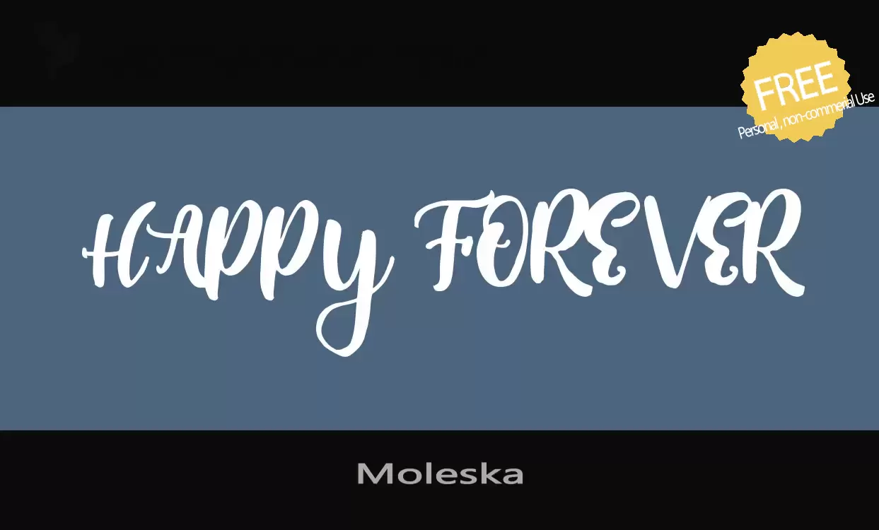 Font Sample of Moleska