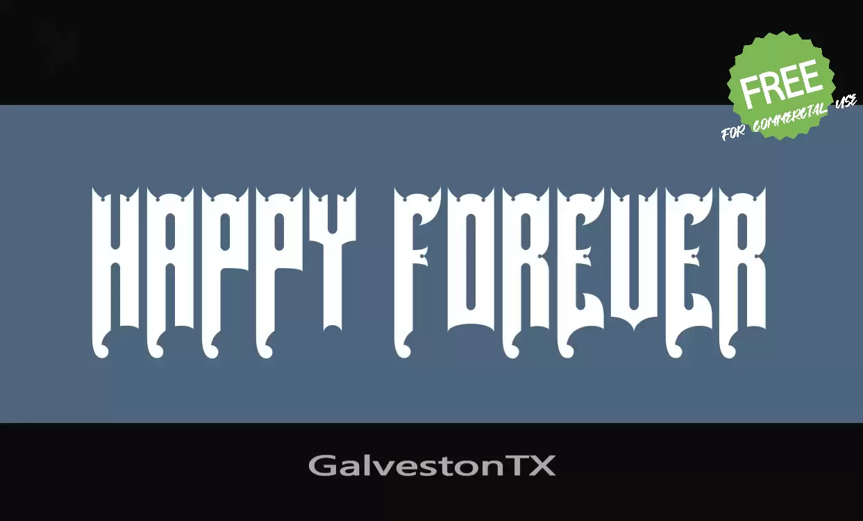 Sample of GalvestonTX