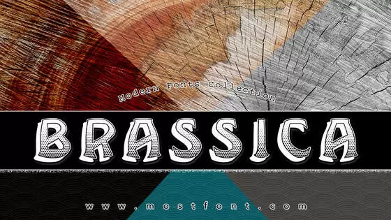 「Brassica」字体排版样式