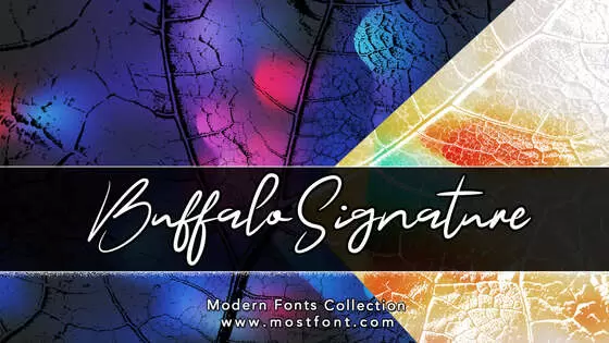 Typographic Design of BuffaloSignature