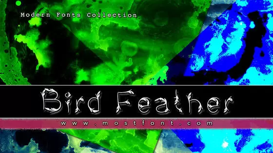 Typographic Design of Bird-Feather