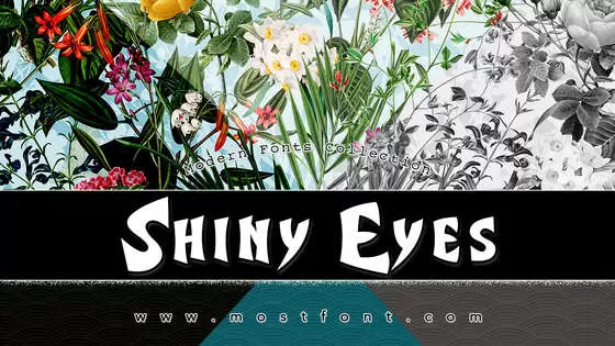 Typographic Design of Shiny-Eyes