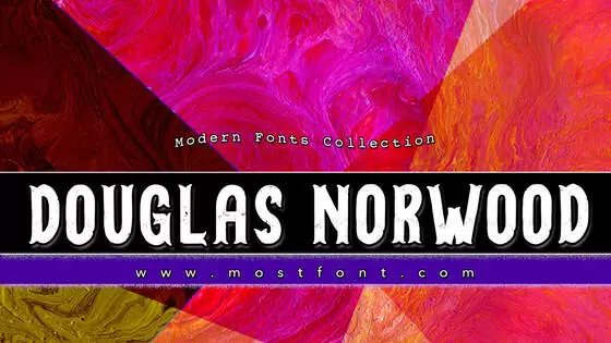Typographic Design of DOUGLAS-COLLECTIONS