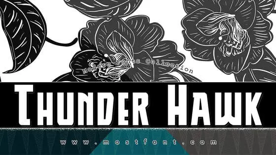 Typographic Design of Thunder-Hawk