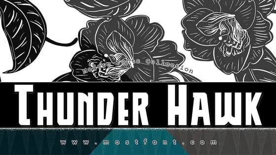 「Thunder-Hawk」字体排版样式