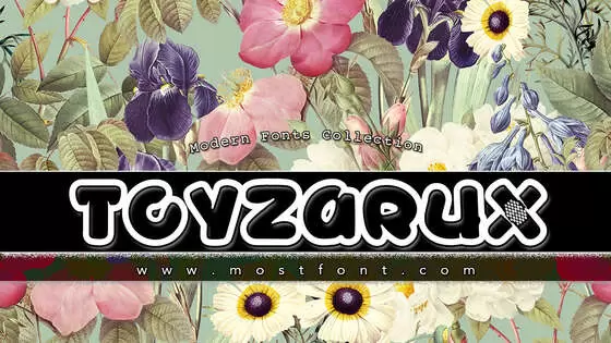 「TOYZARUX」字体排版图片