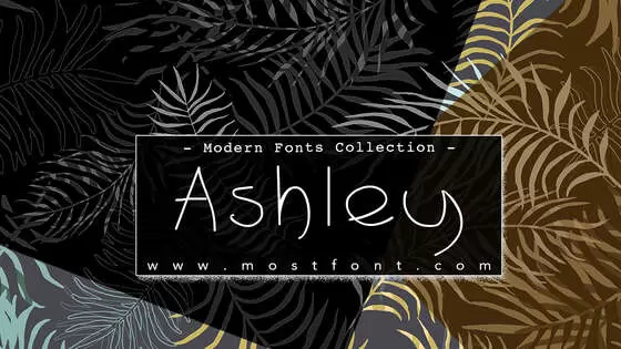 Typographic Design of Ashley