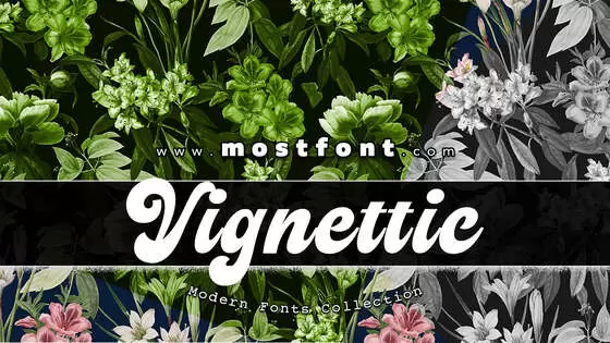 「Vignettic」字体排版图片